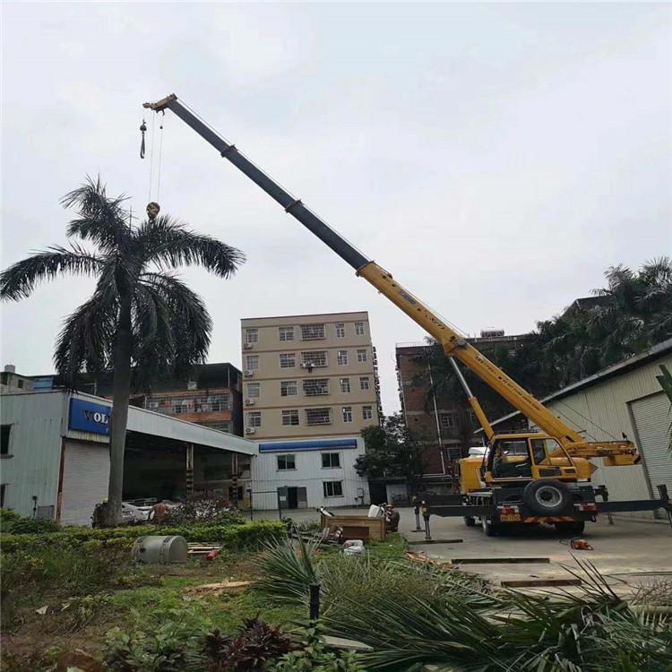 新龙镇汽车吊出租多少钱？全面解析与市场行情